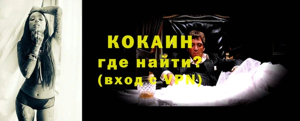 дурь Осташков