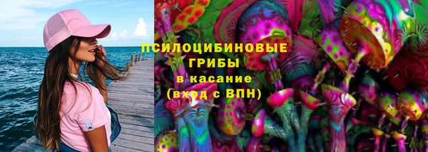 дмт Осинники