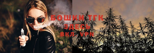 стафф Пересвет