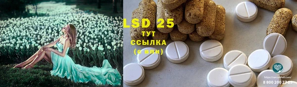 дурь Осташков