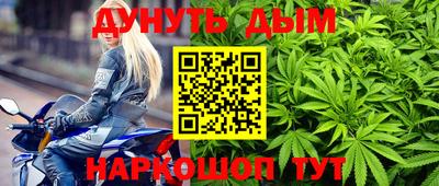 стаф Берёзовский